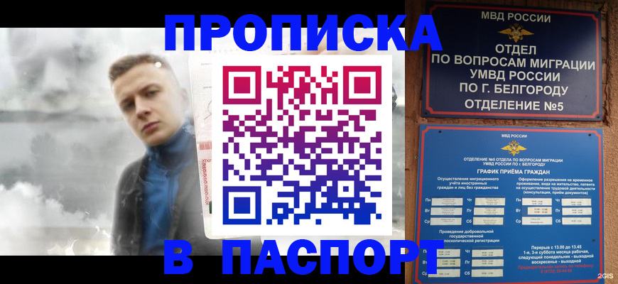 временная регистрация в Чехове
